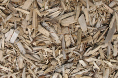 biomass boilers Prestleigh